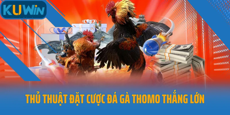 Thủ thuật đặt cược đá gà Thomo thắng lớn