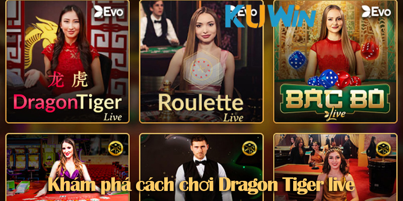 Dragon Tiger live: Cách chơi Rong Ho chi tiết cho người mới